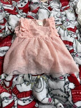 GAP Pink Dot Tulle Lace Ruffle Dress